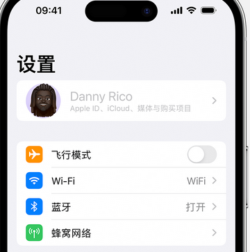 雷波appleID维修服务iPhone设置中Apple ID显示为灰色无法使用