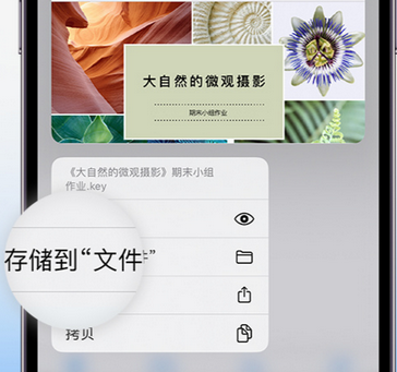 雷波apple维修中心分享iPhone文件应用中存储和找到下载文件