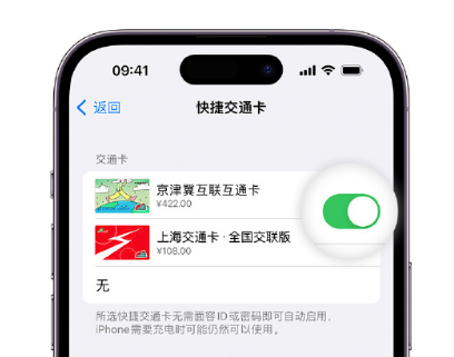 雷波apple维修点分享iPhone上更换Apple Pay快捷交通卡手绘卡面 