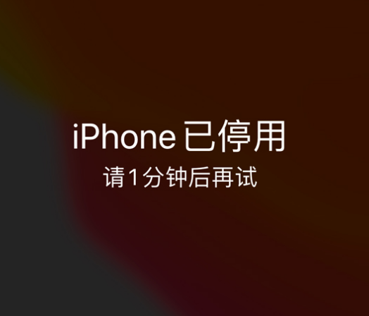 雷波苹果手机维修分享:iPhone 显示“不可用”或“已停用”怎么办？还能保留数据吗？ 