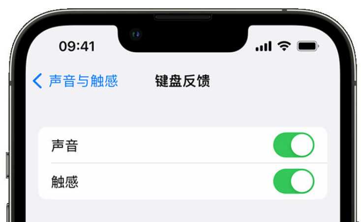 雷波苹果手机维修分享iPhone 14触感键盘使用方法 