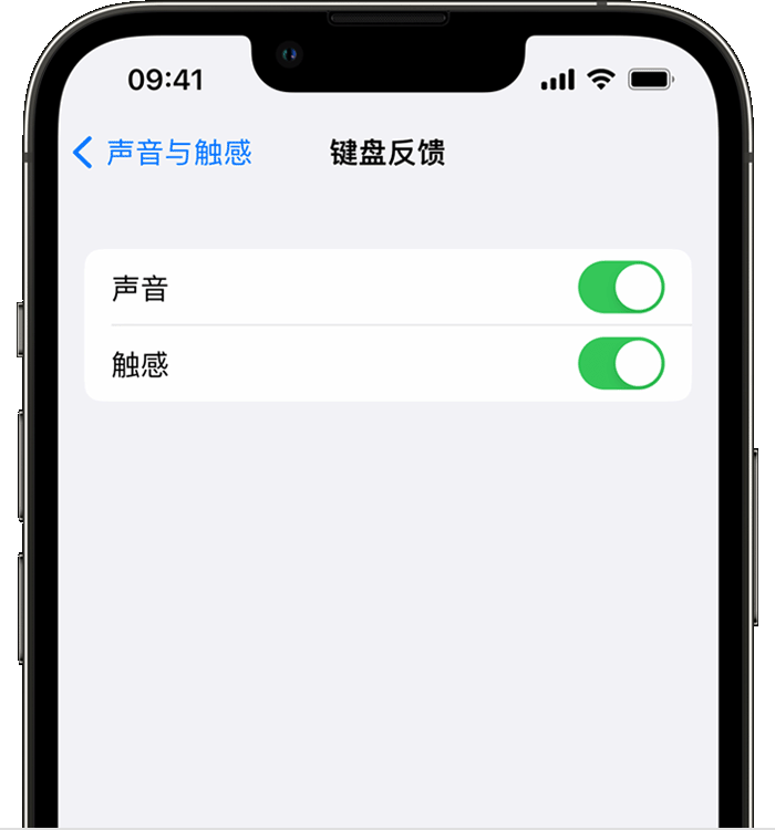 雷波苹果14维修店分享如何在 iPhone 14 机型中使用触感键盘 