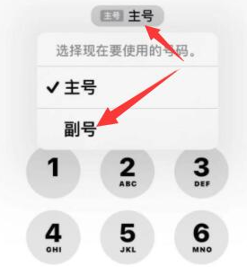 雷波苹果14维修店分享iPhone 14 Pro Max使用副卡打电话的方法 