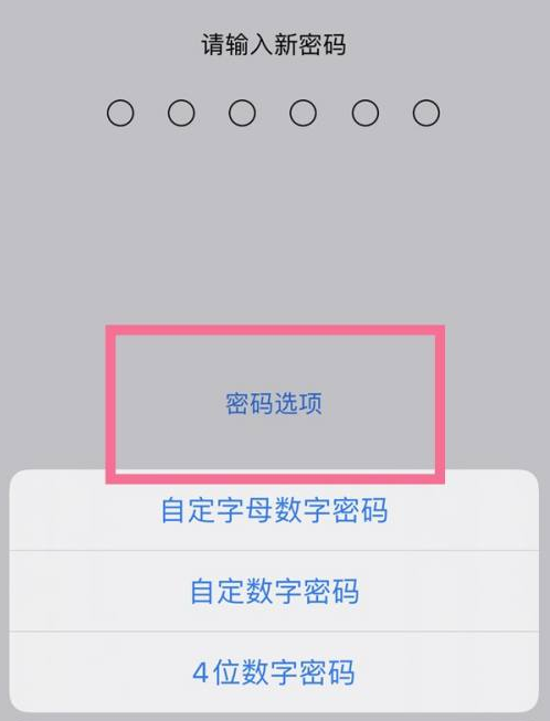 雷波苹果14维修分享iPhone 14plus设置密码的方法 