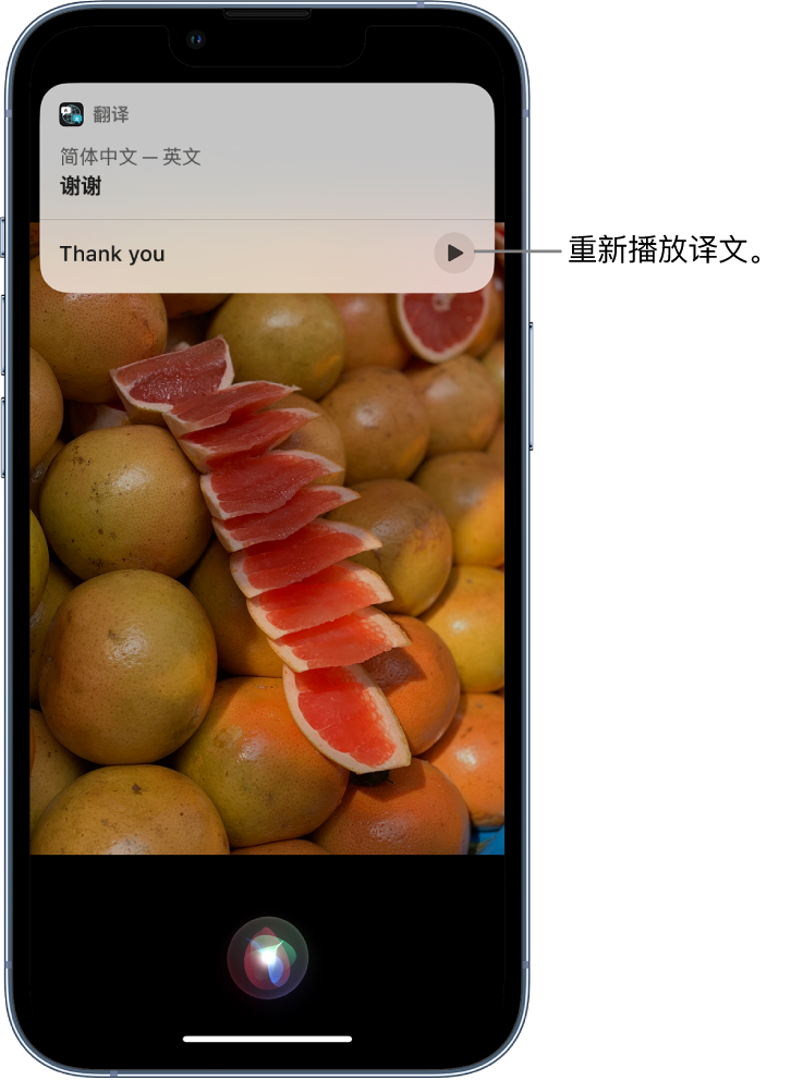 雷波苹果14维修分享 iPhone 14 机型中使用 Siri：了解 Siri 能帮你做什么 