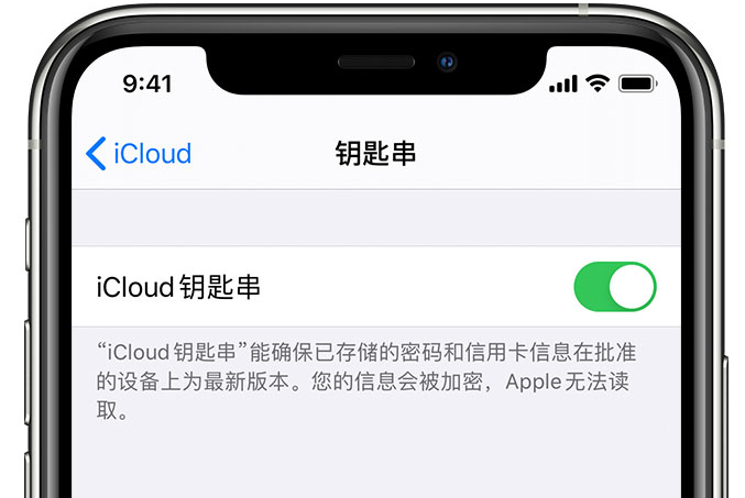 雷波苹果手机维修分享在 iPhone 上开启 iCloud 钥匙串之后会储存哪些信息 