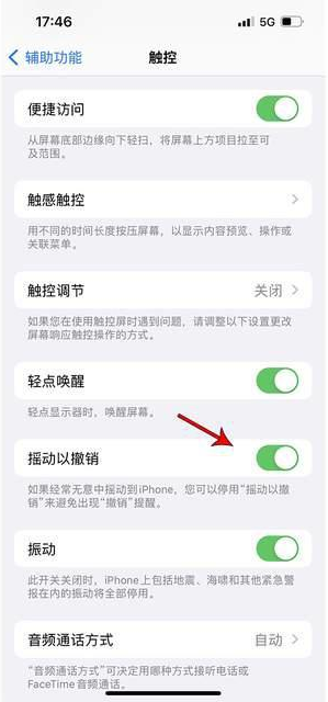 雷波苹果手机维修分享iPhone手机如何设置摇一摇删除文字 